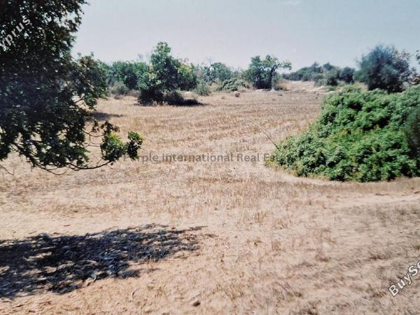 land for sale agios theodoros larnacas larnaca 7544632 image 9491136