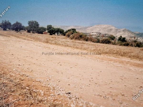 land for sale agios theodoros larnacas larnaca 7544632 image 9491137