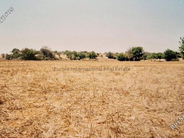 land for sale agios theodoros larnacas larnaca 7544632 image 9491138
