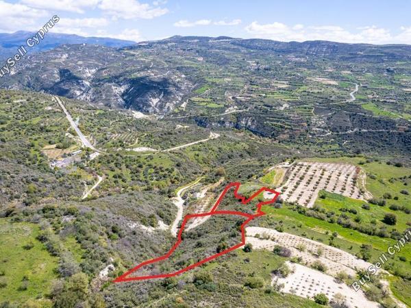 land for sale arminou paphos 1036632 image 7332596