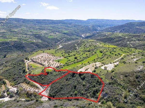 land for sale arminou paphos 1036632 image 7332600
