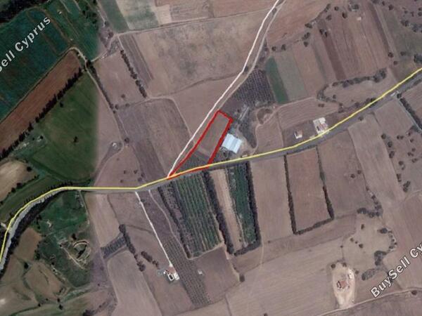 land for sale kouklia pafou paphos 939632 image 835592