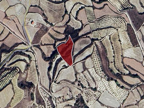 land for sale letymvou paphos 7609632 image 15596581