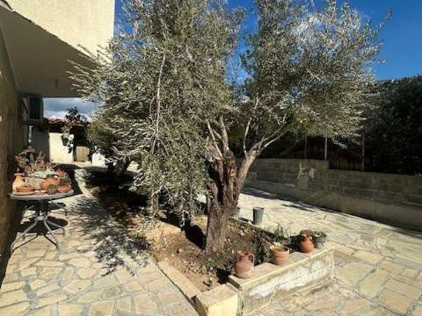 10 bedroom detached house for sale germasogeia limassol 1668732 image 6201890