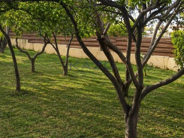 2 bedroom detached house for sale episkopi lemesou limassol 8675732 image 16060802