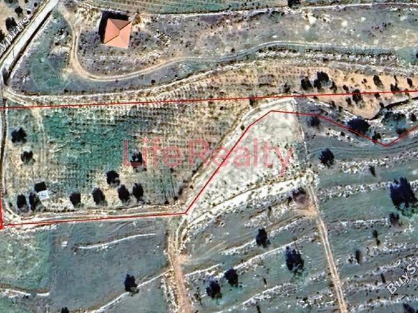 land for sale pachna limassol 1511732 image 13300159