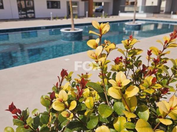 studio apartment for sale kato paphos universal paphos 8771732 image 16579507