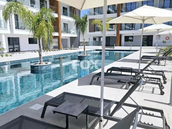 studio apartment for sale kato paphos universal paphos 8771732 image 16579508