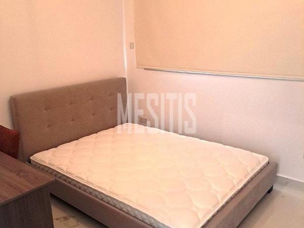 1 bedroom apartment for rent aglantzia nicosia 8185832 image 16340208