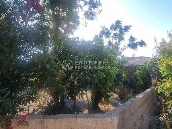 3 bedroom bungalow for sale pervolia larnaca 8367832 image 14579515
