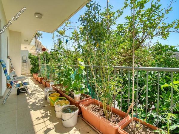 3 bedroom detached house for sale peyia paphos 7739832 image 12578964