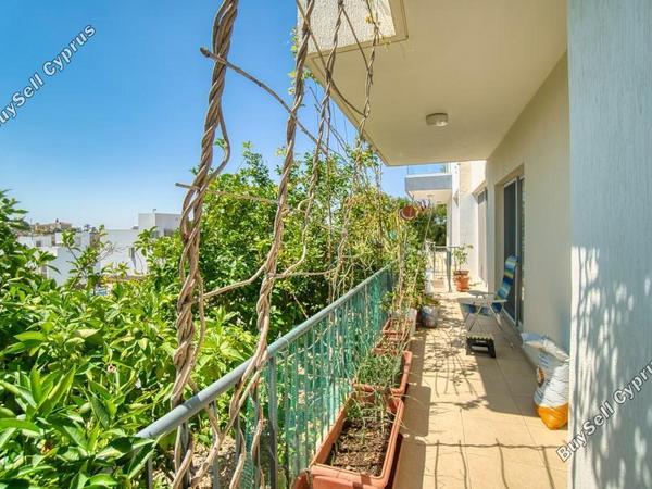 3 bedroom detached house for sale peyia paphos 7739832 image 12578967