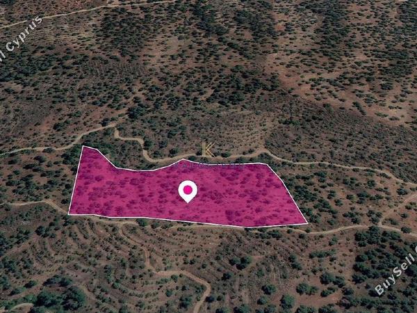 land for sale agios theodoros soleas nicosia 1649832 image 5661744
