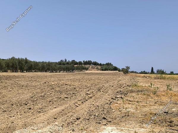 land for sale prodromi paphos 8395832 image 14822010