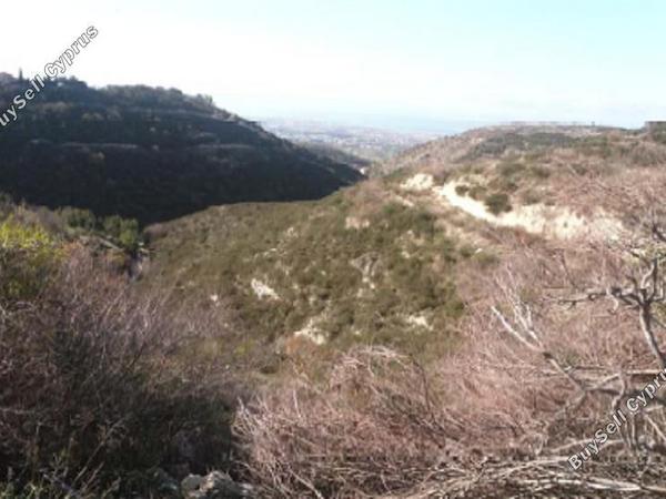 land for sale tsada paphos 1355832 image 16325796