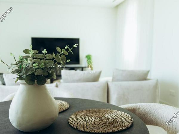 2 bedroom semi detached house for rent tserkezoi limassol 8716932 image 16309126