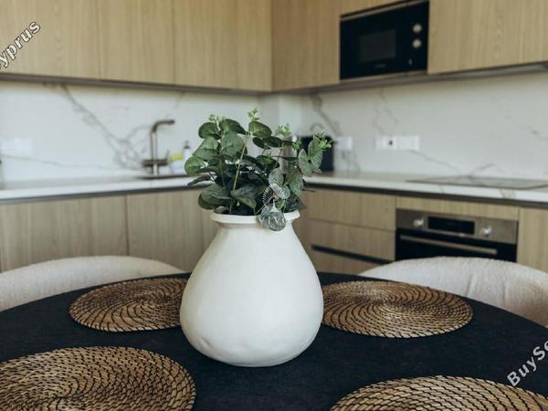2 bedroom semi detached house for rent tserkezoi limassol 8716932 image 17147996