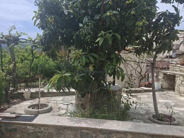 3 bedroom bungalow for sale ora larnaca 8692932 image 17210619