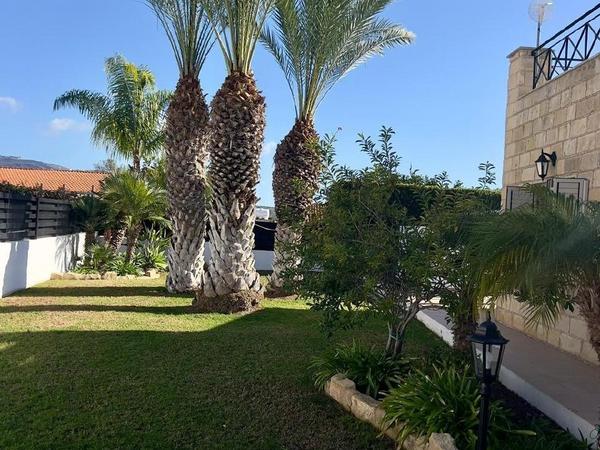 3 bedroom detached house for sale coral bay paphos 1569932 image 12670281