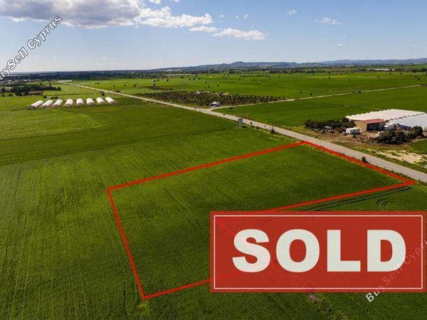 land sold softades larnaca 8301932 image 14083849