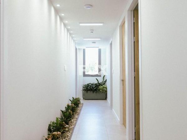 studio office for rent zakaki limassol 1593932 image 14175122