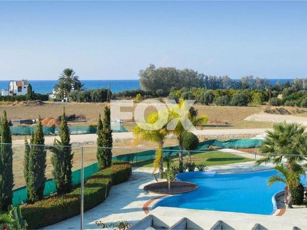 3 bedroom detached house for sale prodromi paphos 8473042 image 15214828