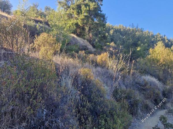 land for sale pelendri limassol 7580042 image 15597335