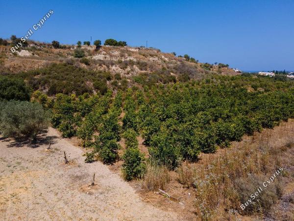 land for sale prodromi paphos 823042 image 16225504