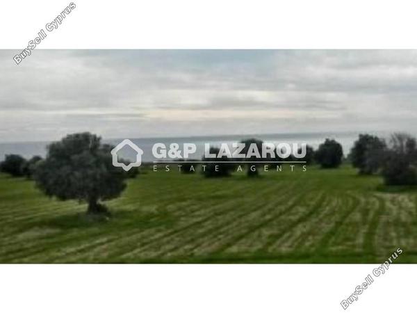 land for sale agios theodoros larnacas larnaca 1688142 image 6007227
