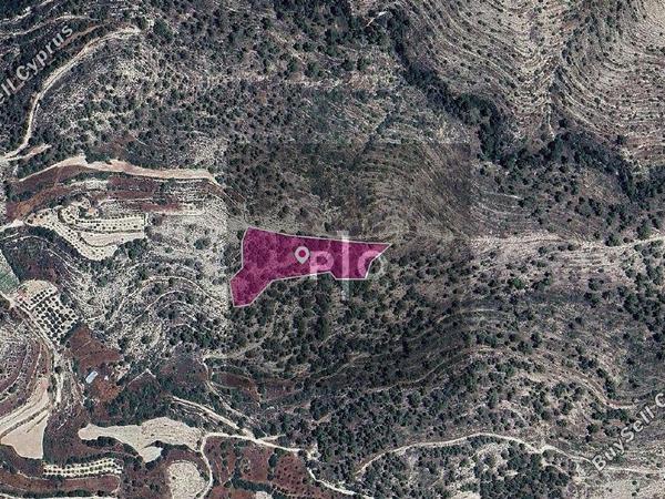 land for sale agios therapon limassol 8275142 image 15157854
