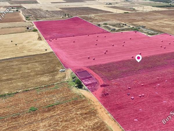 land for sale avgorou famagusta 1625142 image 13347588
