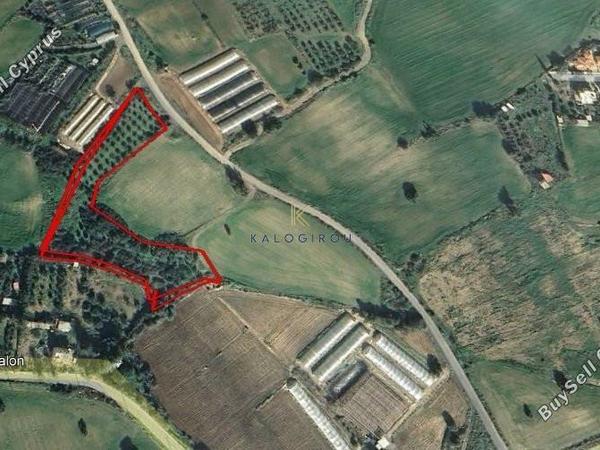 land for sale maroni larnaca 1615142 image 5704823