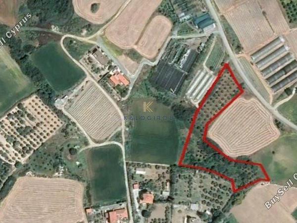 land for sale maroni larnaca 1615142 image 5704824