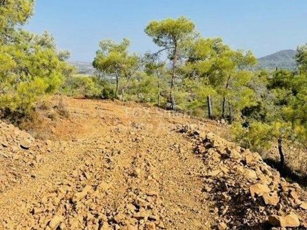 plot for sale kornos larnaca 1387142 image 9301476
