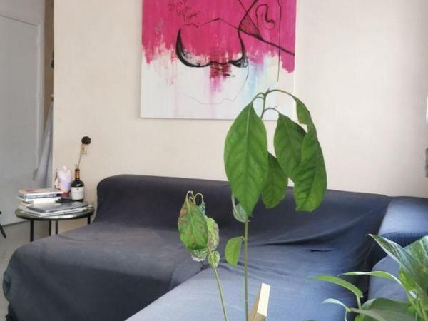 1 bedroom apartment for rent agios tychonas limassol 8497242 image 15317219