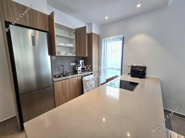 3 bedroom apartment for rent acropolis nicosia 1864242 image 16968976