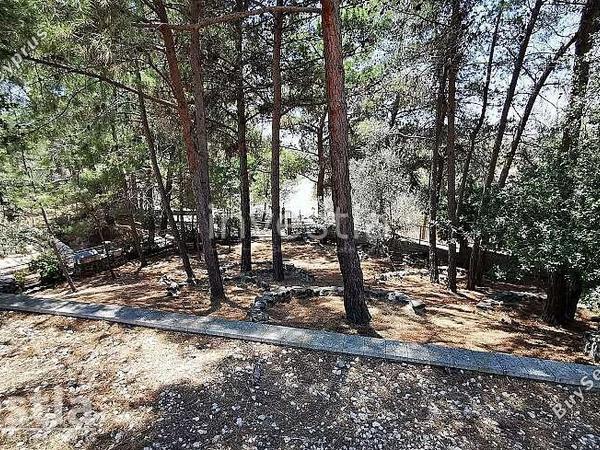 4 bedroom detached house for sale anglisides larnaca 8839242 image 17041390