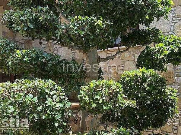 4 bedroom detached house for sale anglisides larnaca 8839242 image 17041409