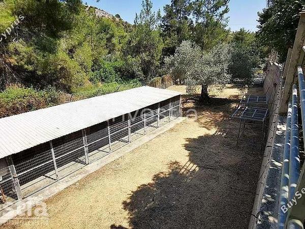 4 bedroom detached house for sale anglisides larnaca 8839242 image 17041428