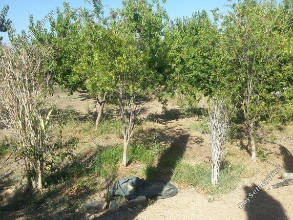 4 bedroom detached house for sale parekklisia limassol 1680242 image 4366343
