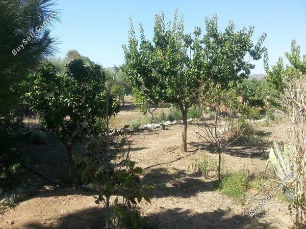 4 bedroom detached house for sale parekklisia limassol 1680242 image 4366344
