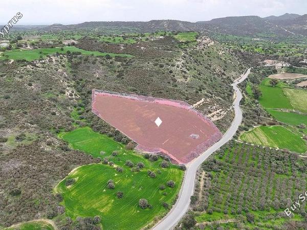 land for sale agios theodoros larnacas larnaca 8328242 image 14291645
