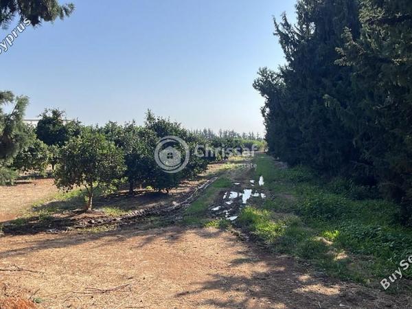 land for sale akrotiri limassol 7880242 image 14789307
