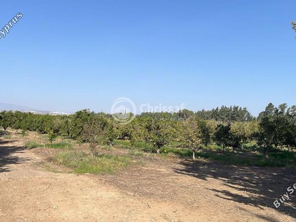 land for sale akrotiri limassol 7880242 image 14789309