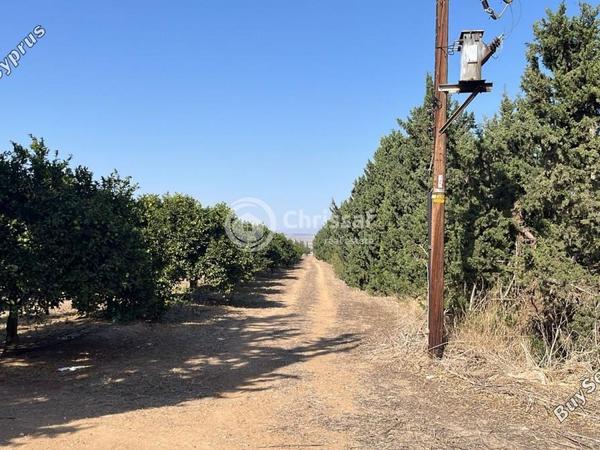 land for sale akrotiri limassol 7880242 image 14789312