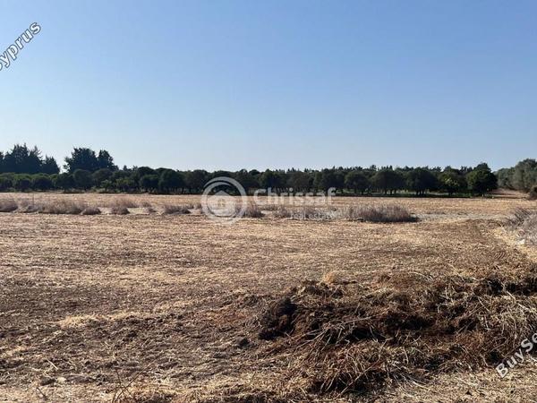 land for sale akrotiri limassol 7880242 image 14789313