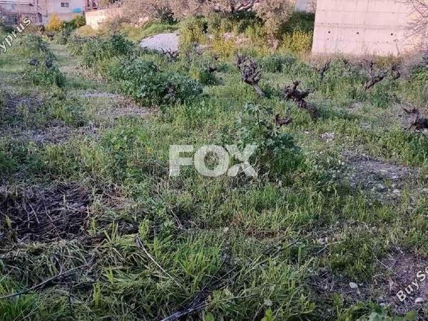 land for sale doros limassol 1769242 image 5703311