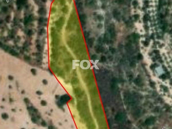 land for sale koili paphos 1160242 image 5539998