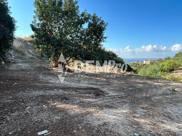 land for sale peyia paphos 7812242 image 10638269