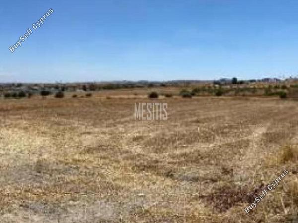 plot for sale athienou larnaca 8746242 image 16440559
